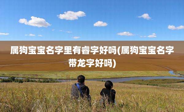 属狗宝宝名字里有睿字好吗(属狗宝宝名字带龙字好吗)