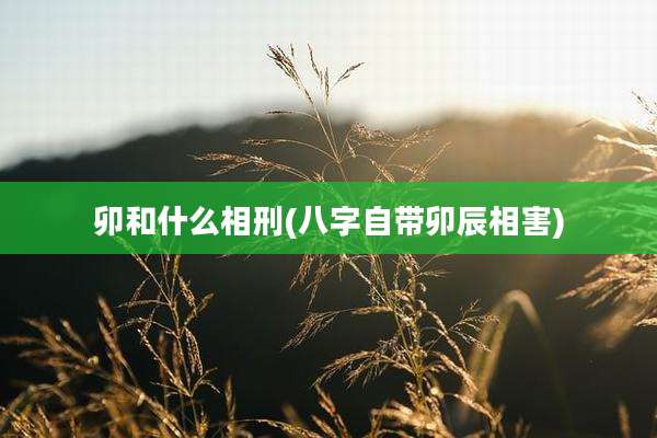 卯和什么相刑(八字自带卯辰相害)