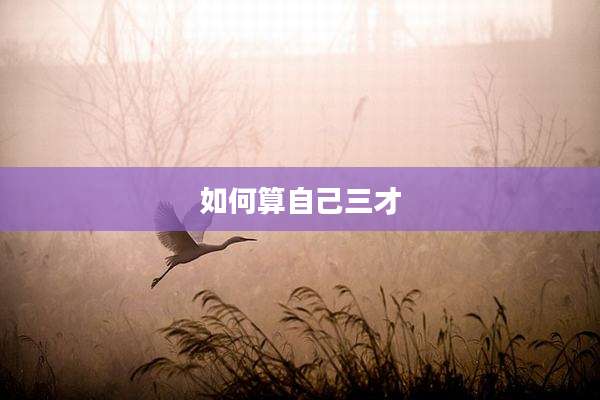 如何算自己三才