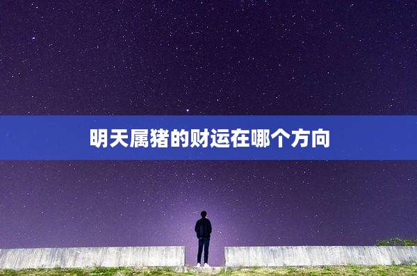 明天属猪的财运在哪个方向