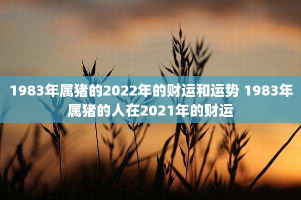 1983年属猪的2022年的财运和运势 1983年属猪的人在2021年的财运