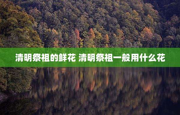 清明祭祖的鲜花 清明祭祖一般用什么花