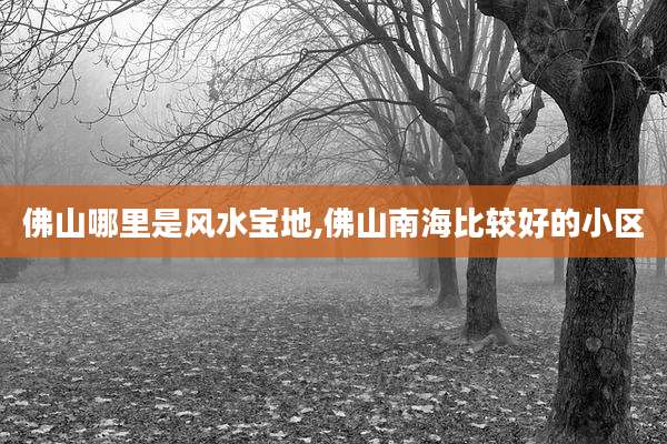 佛山哪里是风水宝地,佛山南海比较好的小区