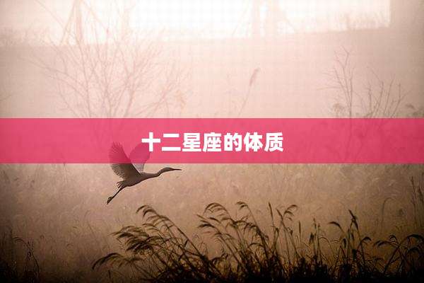 十二星座的体质