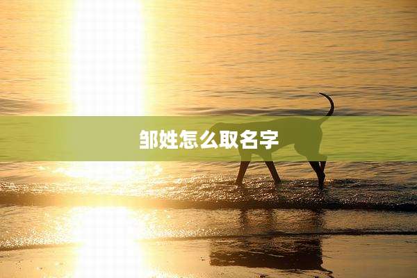 邹姓怎么取名字