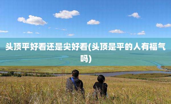 头顶平好看还是尖好看(头顶是平的人有福气吗)