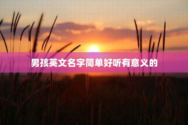 男孩英文名字简单好听有意义的