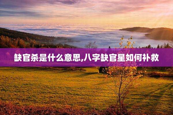 缺官杀是什么意思,八字缺官星如何补救