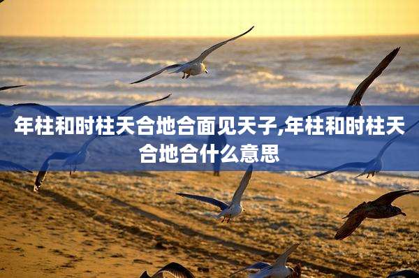 年柱和时柱天合地合面见天子,年柱和时柱天合地合什么意思