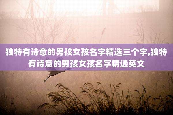 独特有诗意的男孩女孩名字精选三个字,独特有诗意的男孩女孩名字精选英文