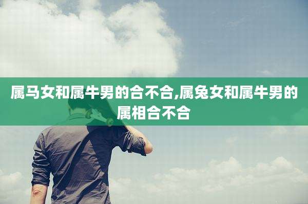 属马女和属牛男的合不合,属兔女和属牛男的属相合不合