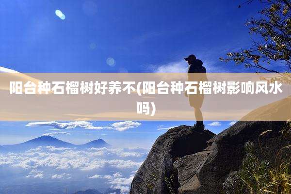 阳台种石榴树好养不(阳台种石榴树影响风水吗)