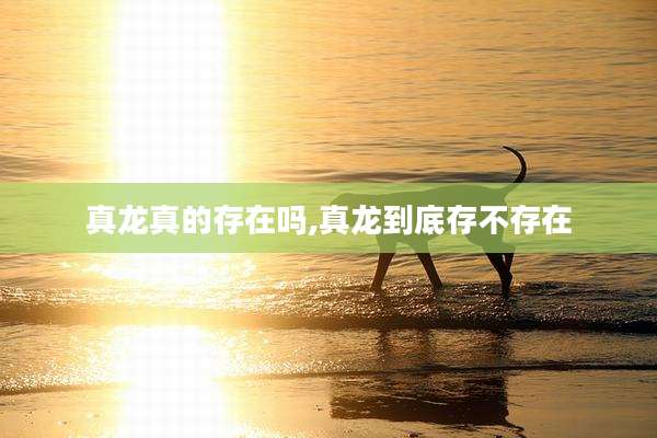 真龙真的存在吗,真龙到底存不存在