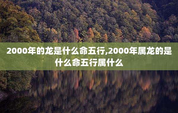 2000年的龙是什么命五行,2000年属龙的是什么命五行属什么
