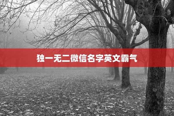 独一无二微信名字英文霸气