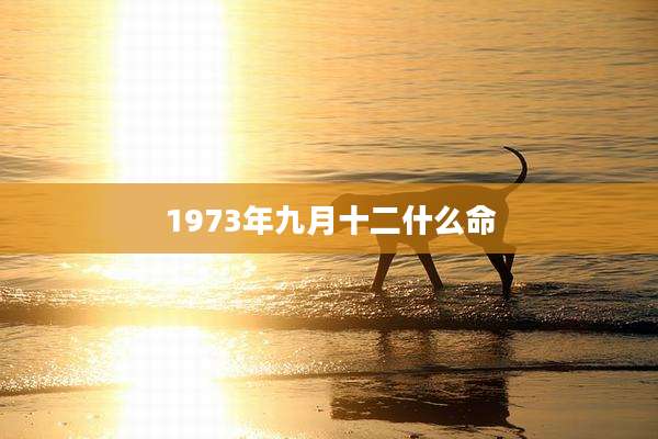 1973年九月十二什么命