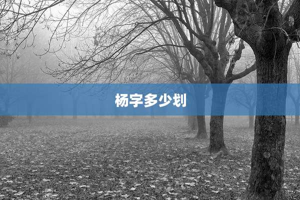 杨字多少划