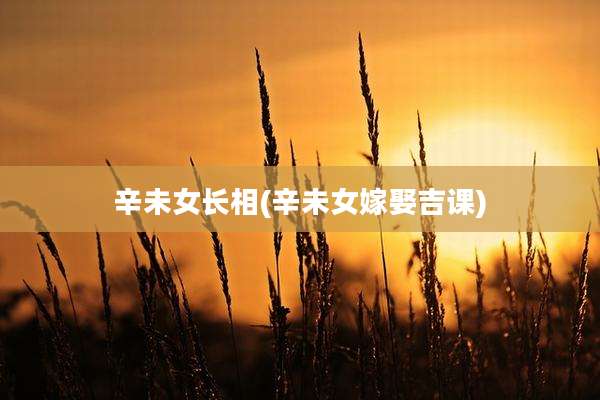 辛未女长相(辛未女嫁娶吉课)