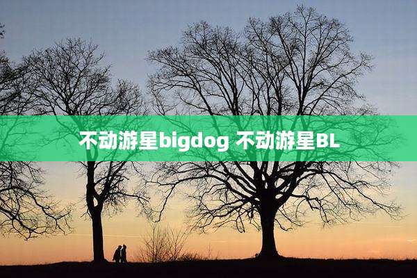 不动游星bigdog 不动游星BL
