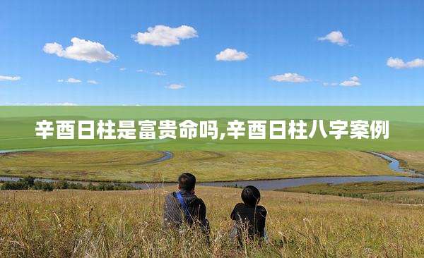 辛酉日柱是富贵命吗,辛酉日柱八字案例