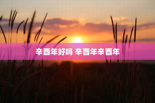 辛酉年好吗 辛酉年辛酉年