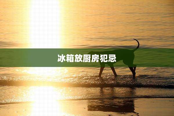 冰箱放厨房犯忌