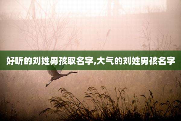 好听的刘姓男孩取名字,大气的刘姓男孩名字