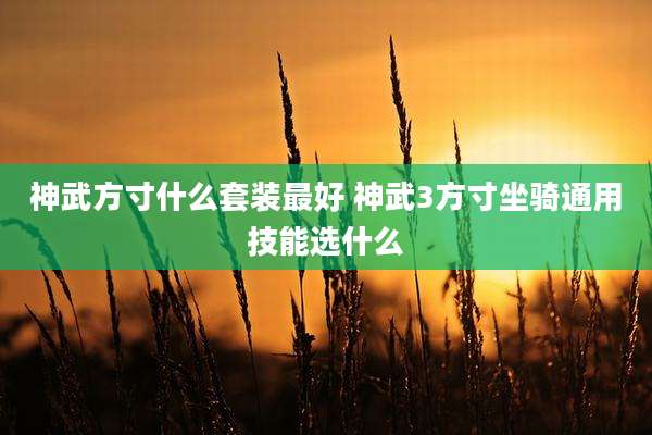神武方寸什么套装最好 神武3方寸坐骑通用技能选什么