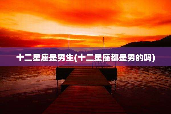 十二星座是男生(十二星座都是男的吗)
