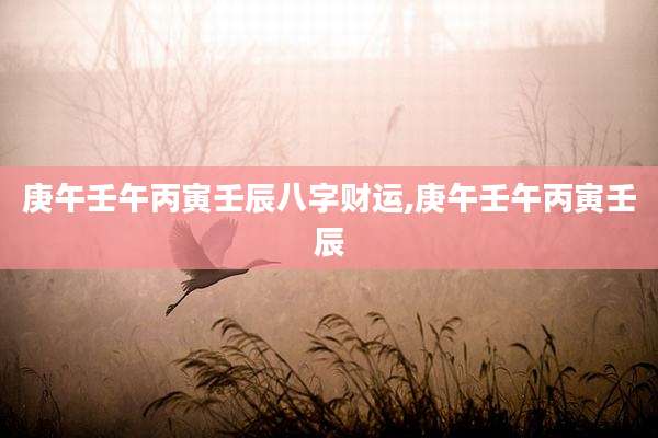 庚午壬午丙寅壬辰八字财运,庚午壬午丙寅壬辰