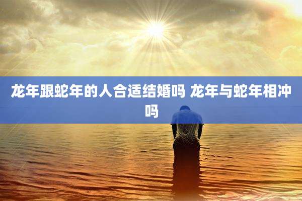 龙年跟蛇年的人合适结婚吗 龙年与蛇年相冲吗