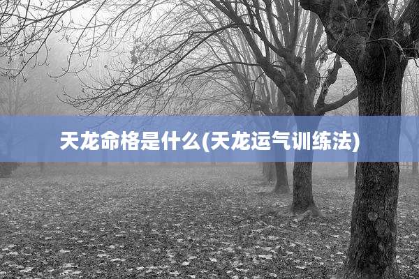 天龙命格是什么(天龙运气训练法)