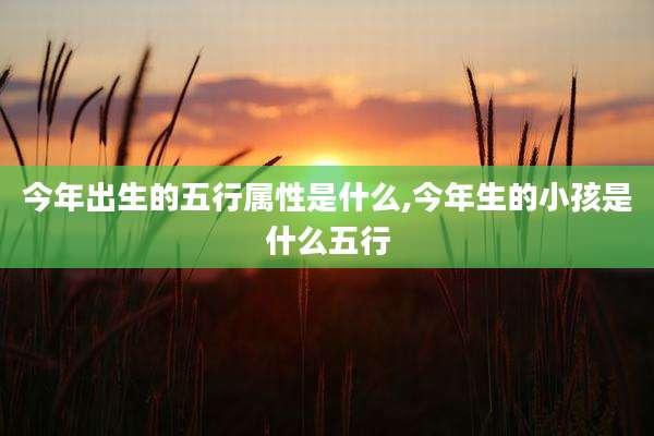 今年出生的五行属性是什么,今年生的小孩是什么五行
