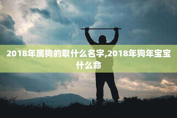 2018年属狗的取什么名字,2018年狗年宝宝什么命