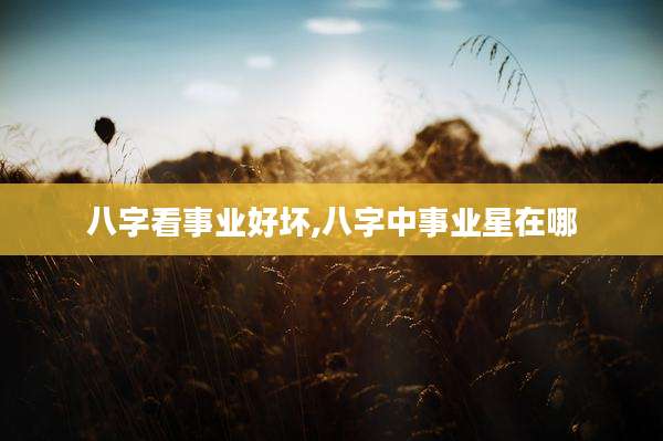 八字看事业好坏,八字中事业星在哪