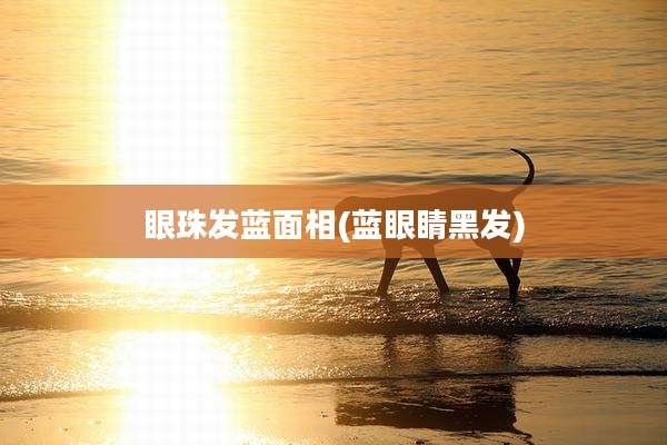 眼珠发蓝面相(蓝眼睛黑发)