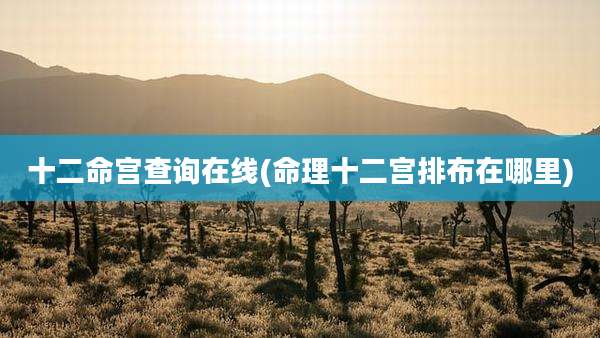 十二命宫查询在线(命理十二宫排布在哪里)
