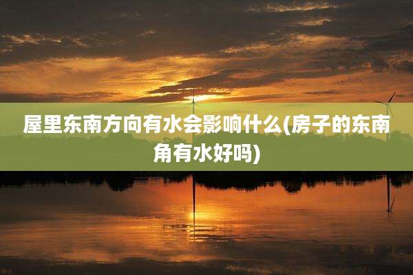 屋里东南方向有水会影响什么(房子的东南角有水好吗)