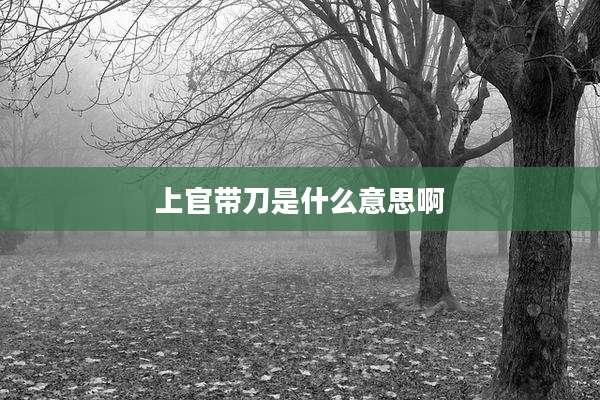 上官带刀是什么意思啊