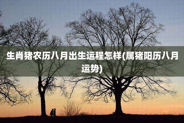 生肖猪农历八月出生运程怎样(属猪阳历八月运势)