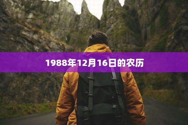 1988年12月16日的农历