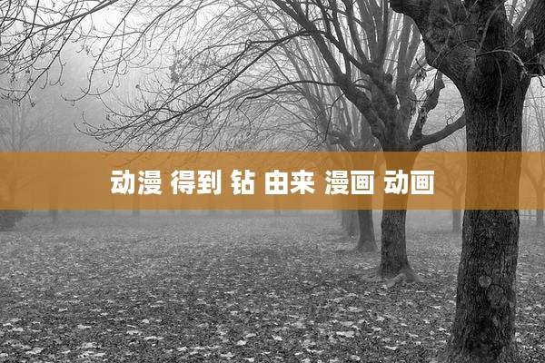 动漫 得到 钻 由来 漫画 动画