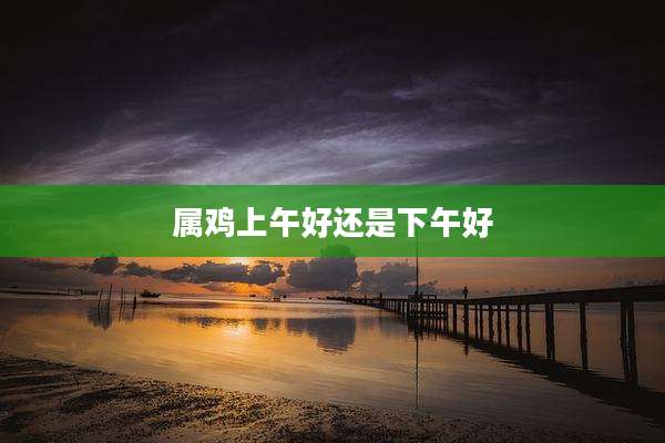 属鸡上午好还是下午好