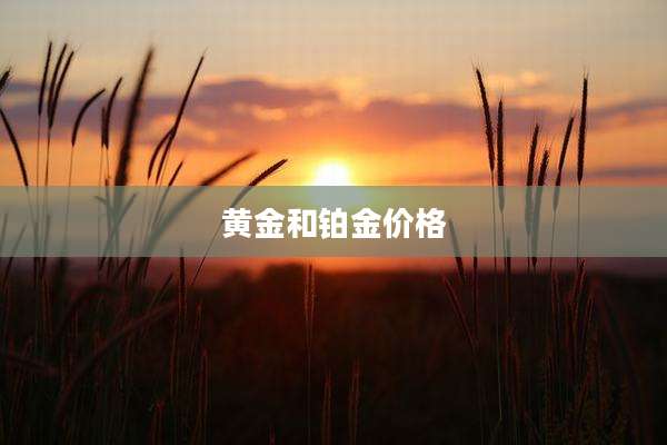 黄金和铂金价格