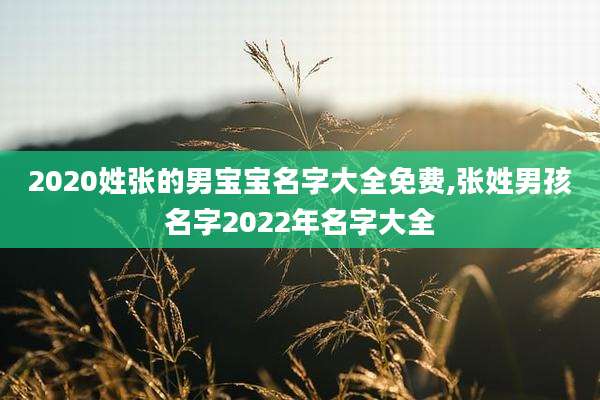2020姓张的男宝宝名字大全免费,张姓男孩名字2022年名字大全
