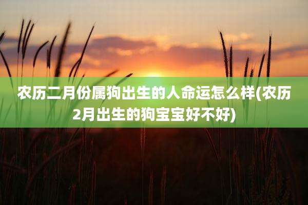 农历二月份属狗出生的人命运怎么样(农历2月出生的狗宝宝好不好)