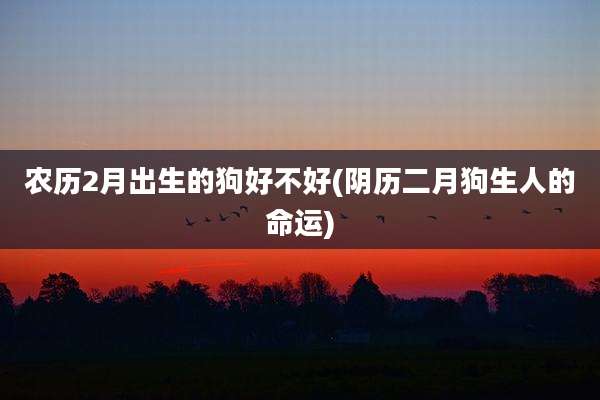 农历2月出生的狗好不好(阴历二月狗生人的命运)