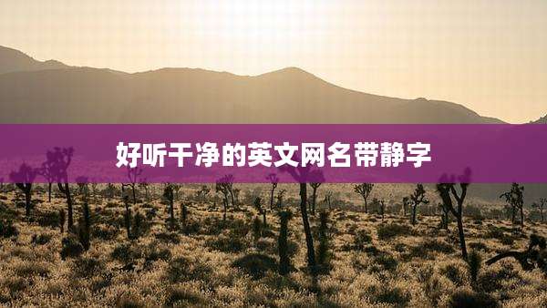 好听干净的英文网名带静字