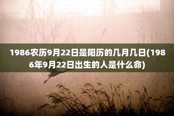 1986农历9月22日是阳历的几月几日(1986年9月22日出生的人是什么命)