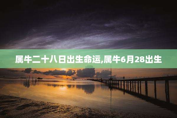 属牛二十八日出生命运,属牛6月28出生